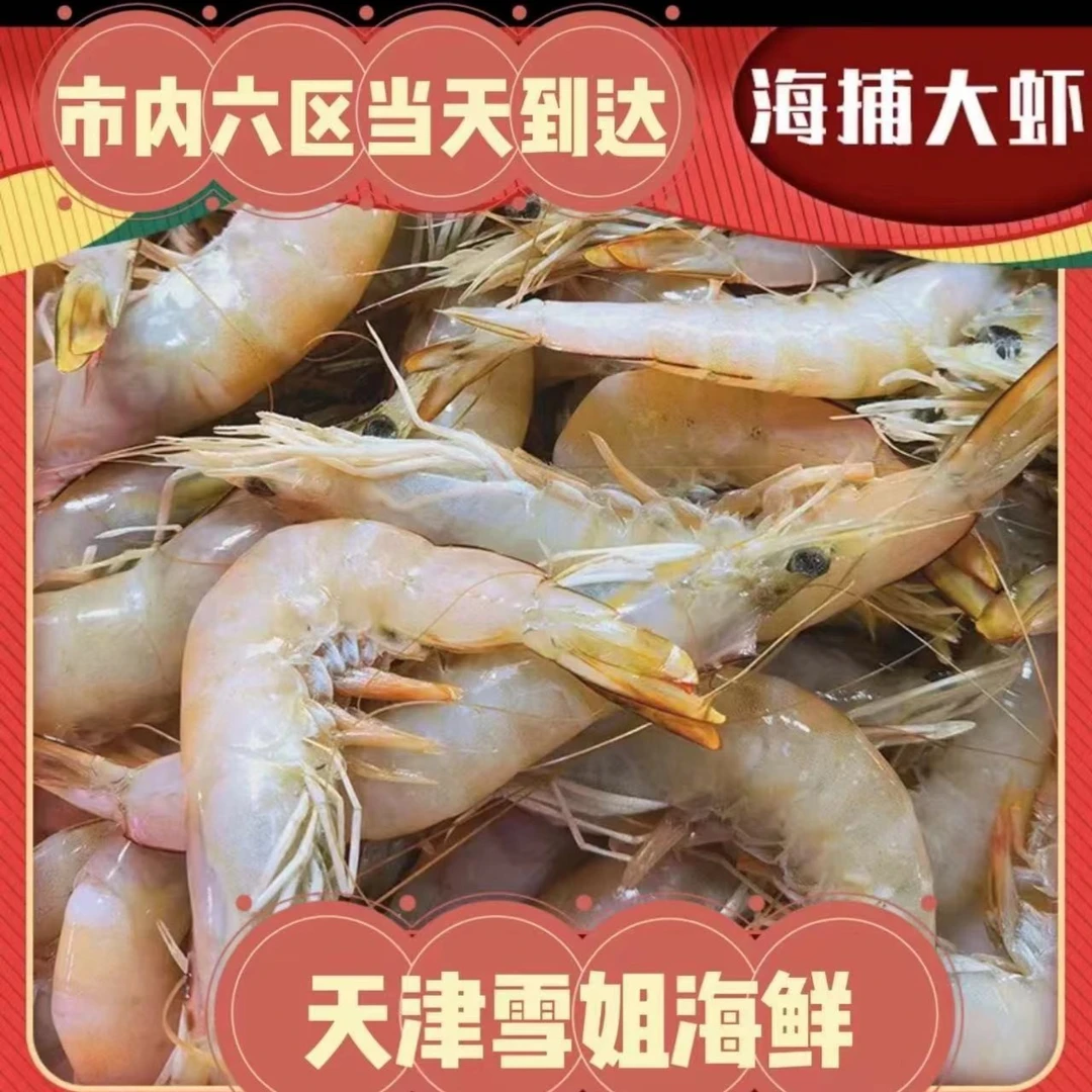 海捕大虾 大虾新鲜海货