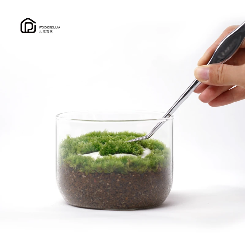 沃宠吉家【无景观】植物养集瓶苔藓微景观容器DIY乔迁礼物桌面摆件