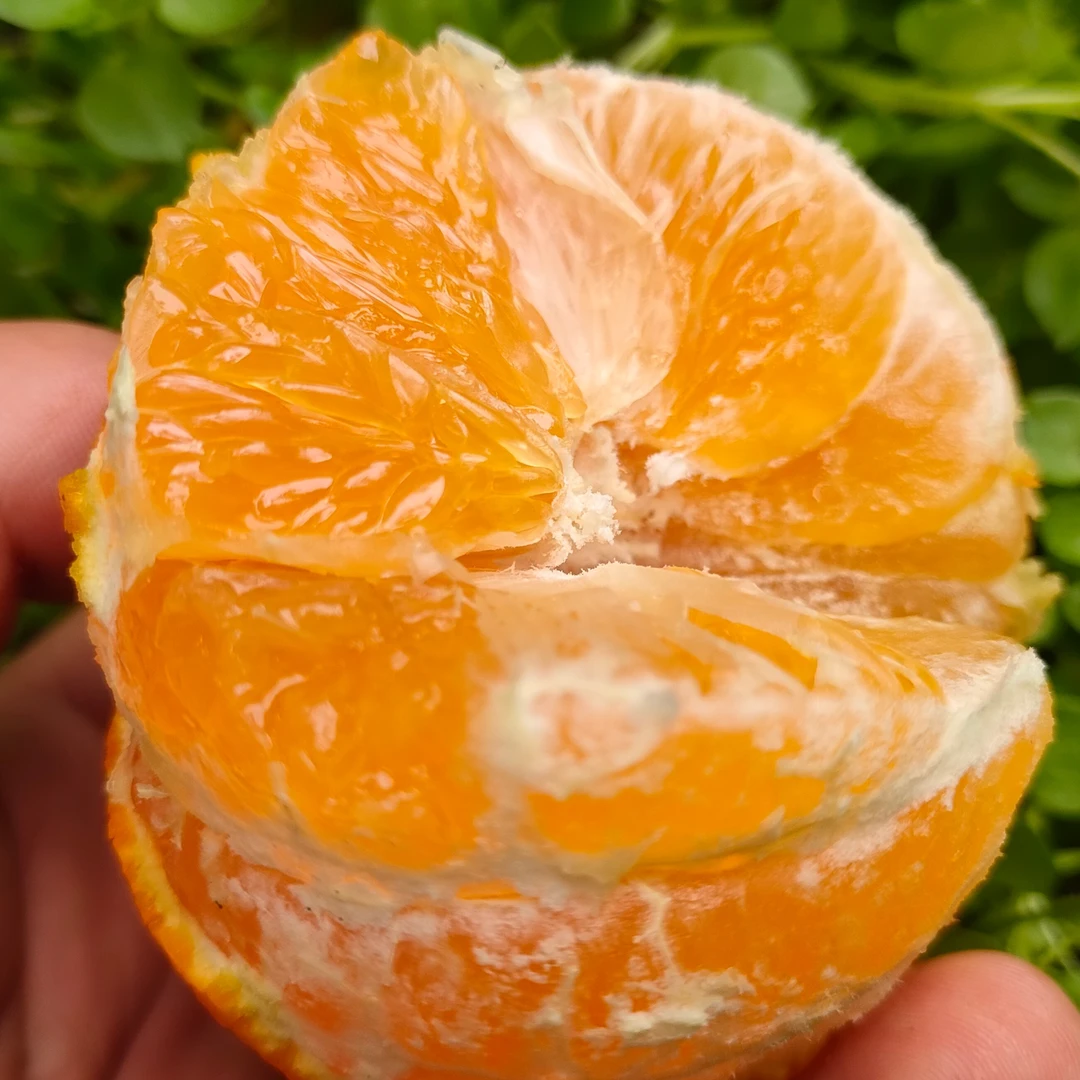 丹棱爱媛38果冻橙 手剥橙子 5斤装9斤装±100g 新鲜采摘酸甜可口