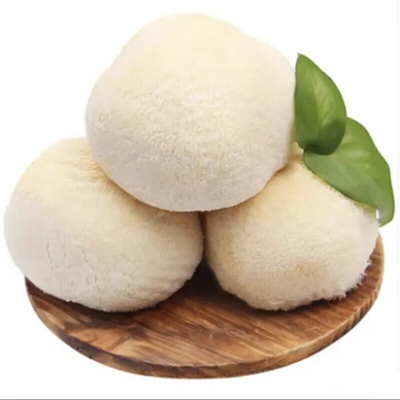 古田头茬新鲜猴头菇 现采现发 1/2斤装 顺丰包邮