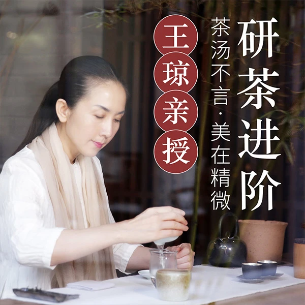 茶修王琼亲授研茶进阶茶艺师培训泡茶品茶茶道视频教学课茶艺茶道