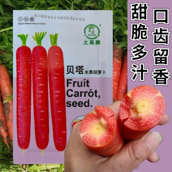 贝塔水果胡萝卜种子透心红胡萝卜种籽易种高产耐热耐寒胡萝卜种子