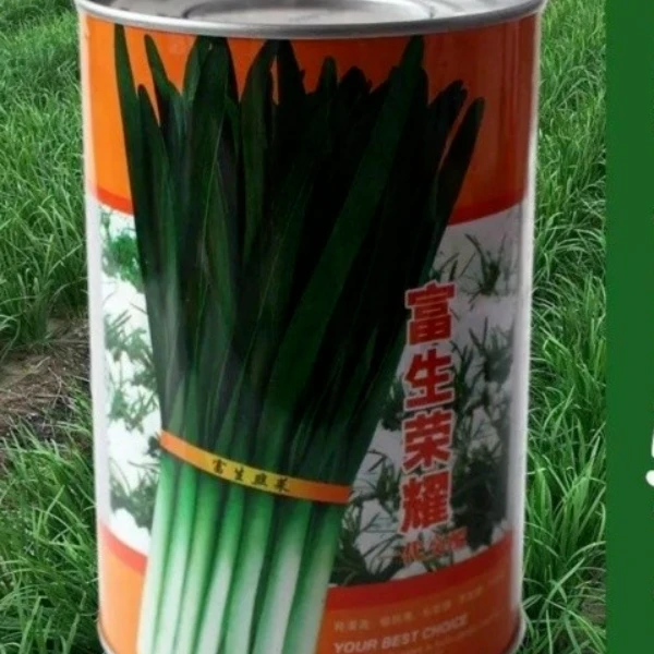 富生荣耀韭菜种子宽叶香浓型韭菜种籽四季割茬高产耐寒耐热蔬菜籽