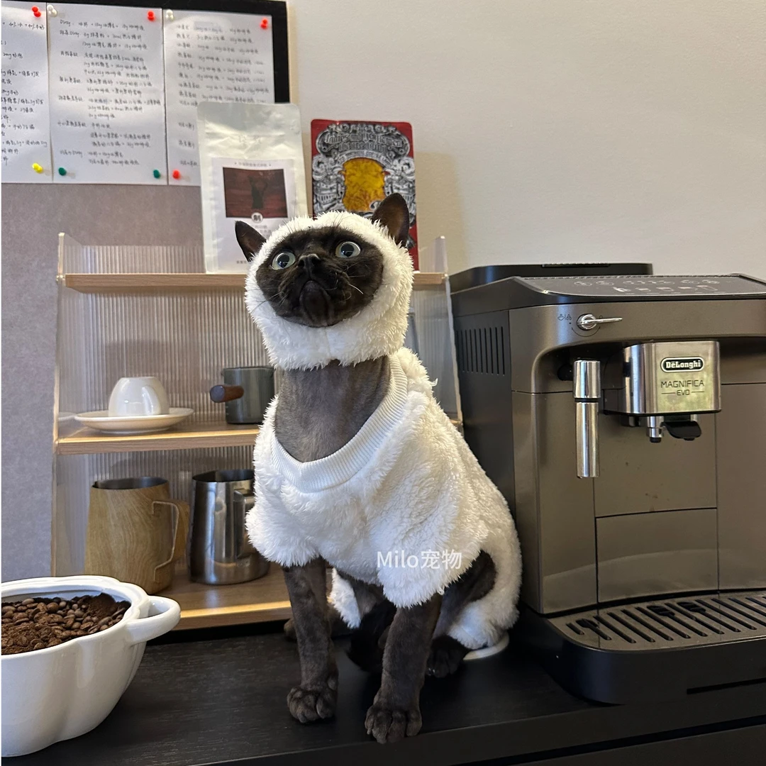 小羊套装猫咪衣服德文斯芬克斯无毛猫白色长毛四脚衣舒服搞怪可爱