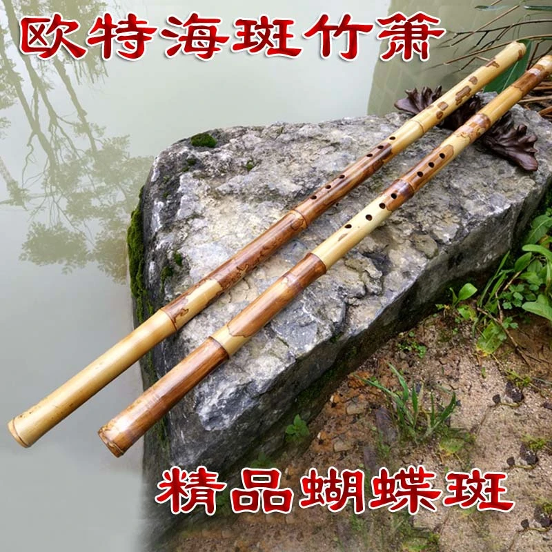 欧特海斑竹洞箫湘妃竹洞箫斑竹箫乐器八孔Fg调初学箫乐器