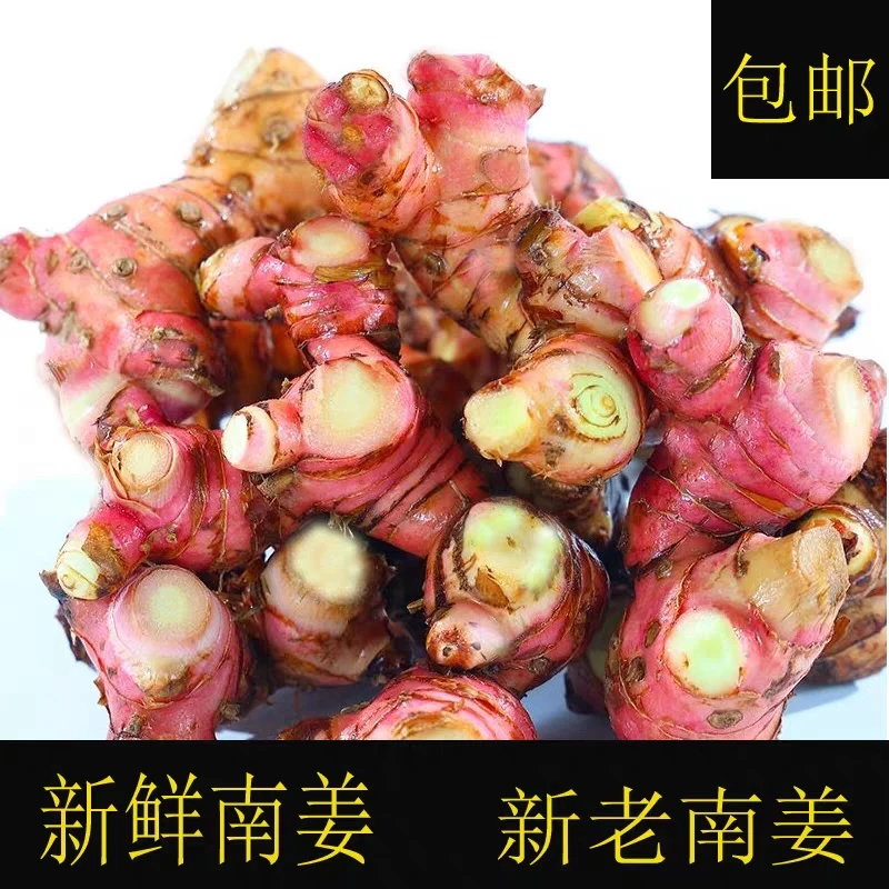 广东南姜新鲜山姜原产地卤水调料头狗姜5斤包邮