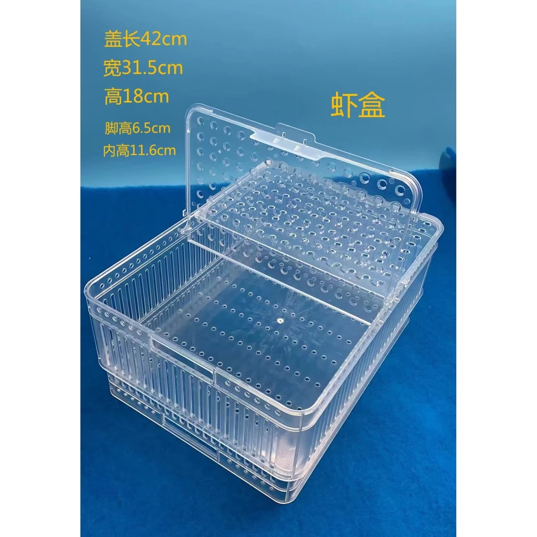 海鲜池鱼缸贝类花蛤吐沙盒虾盒虾笼塑料透明兰白透水篮漏沙双层盒