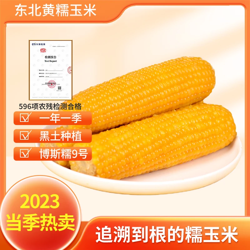 博斯糯9号黄糯玉米200g*8根