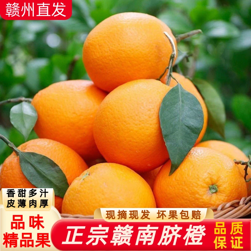 【精品果】正宗江西赣南脐橙5斤10斤20斤整箱赣州新鲜现摘手剥橙子