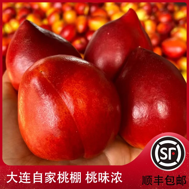【顺丰包邮】大连本地现摘油桃新鲜水密桃营养应季黄肉桃孕妇桃味浓
