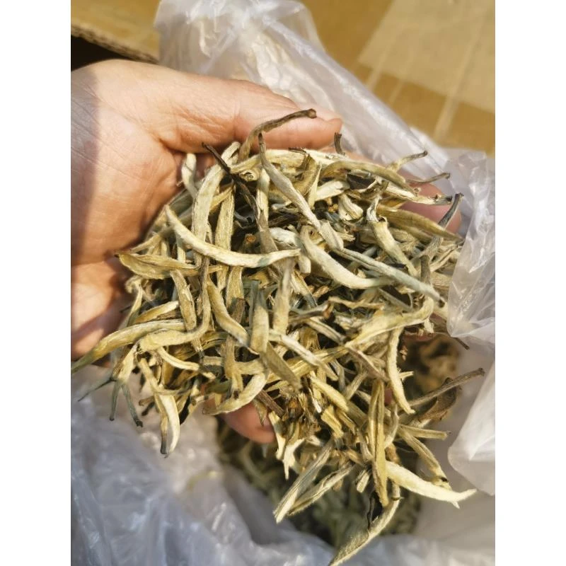 云南银针 月光白 老树白茶散茶