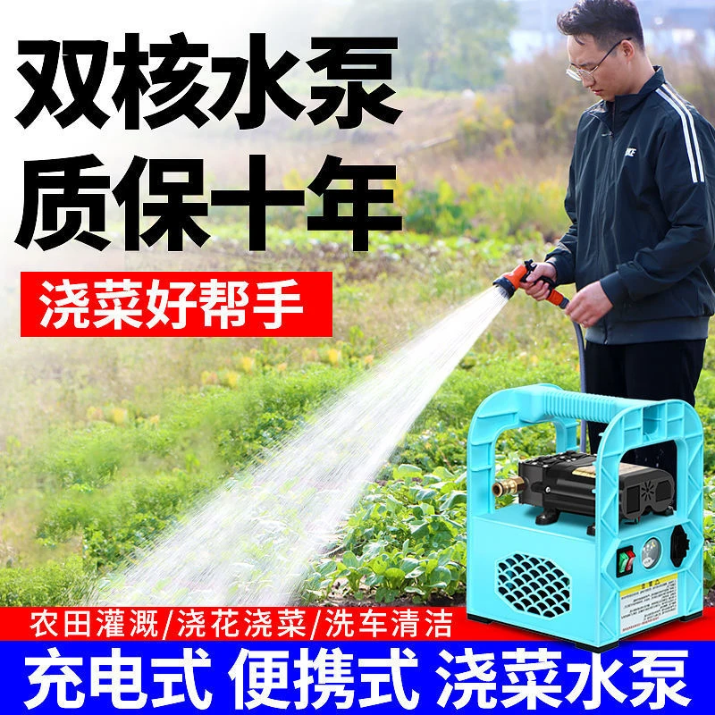 家用充电式抽水泵小型锂电动自吸12V户外农田农用浇菜灌溉水泵
