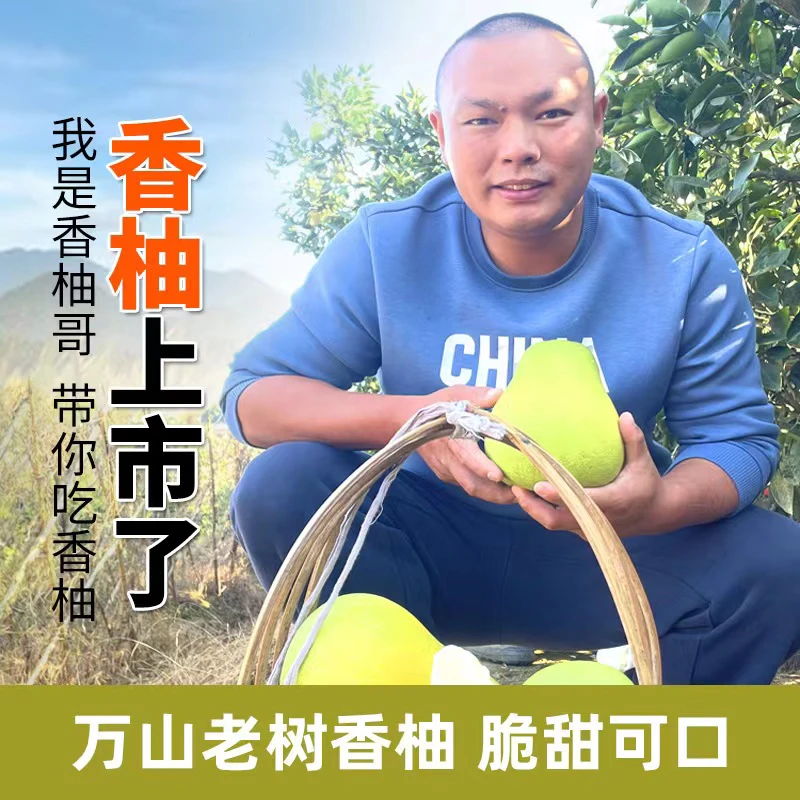 万山香柚高山小香柚脆甜多汁有点原柚子微微苦回香的味道