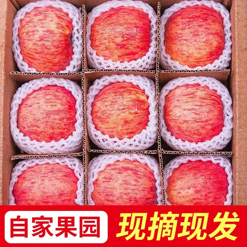 陕西红富士苹果脆甜多汁整箱包邮带箱10斤
