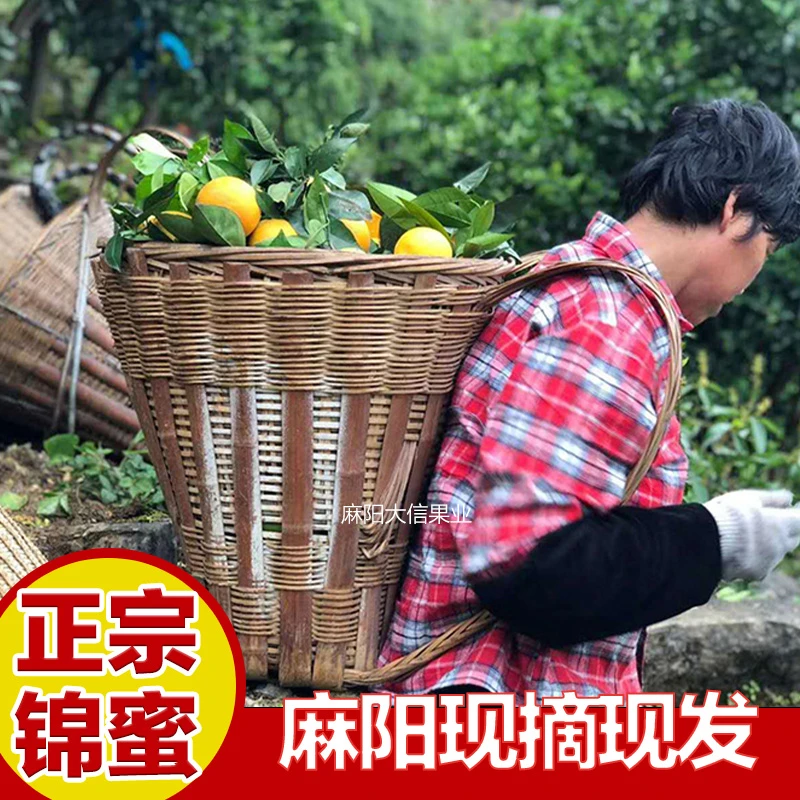 湖南麻阳锦密冰糖橙现摘现发酸甜水果净重9斤包邮皮薄