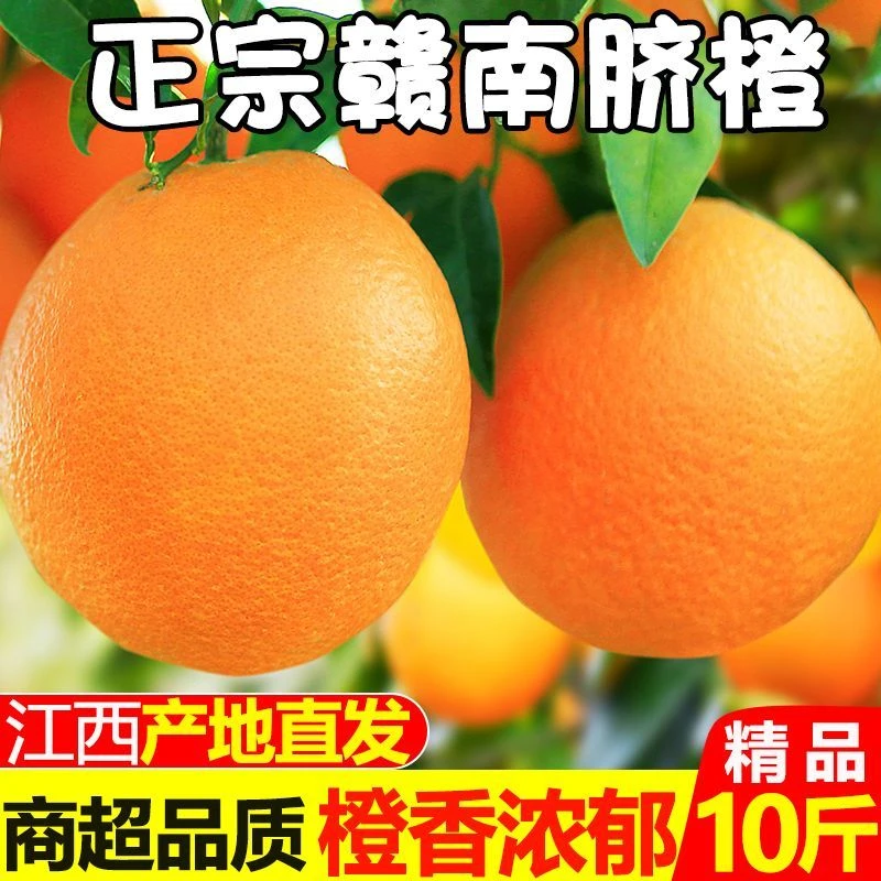 正宗赣南脐橙江西橙子产地直发新鲜应季水果薄皮橙子整箱批发包邮
