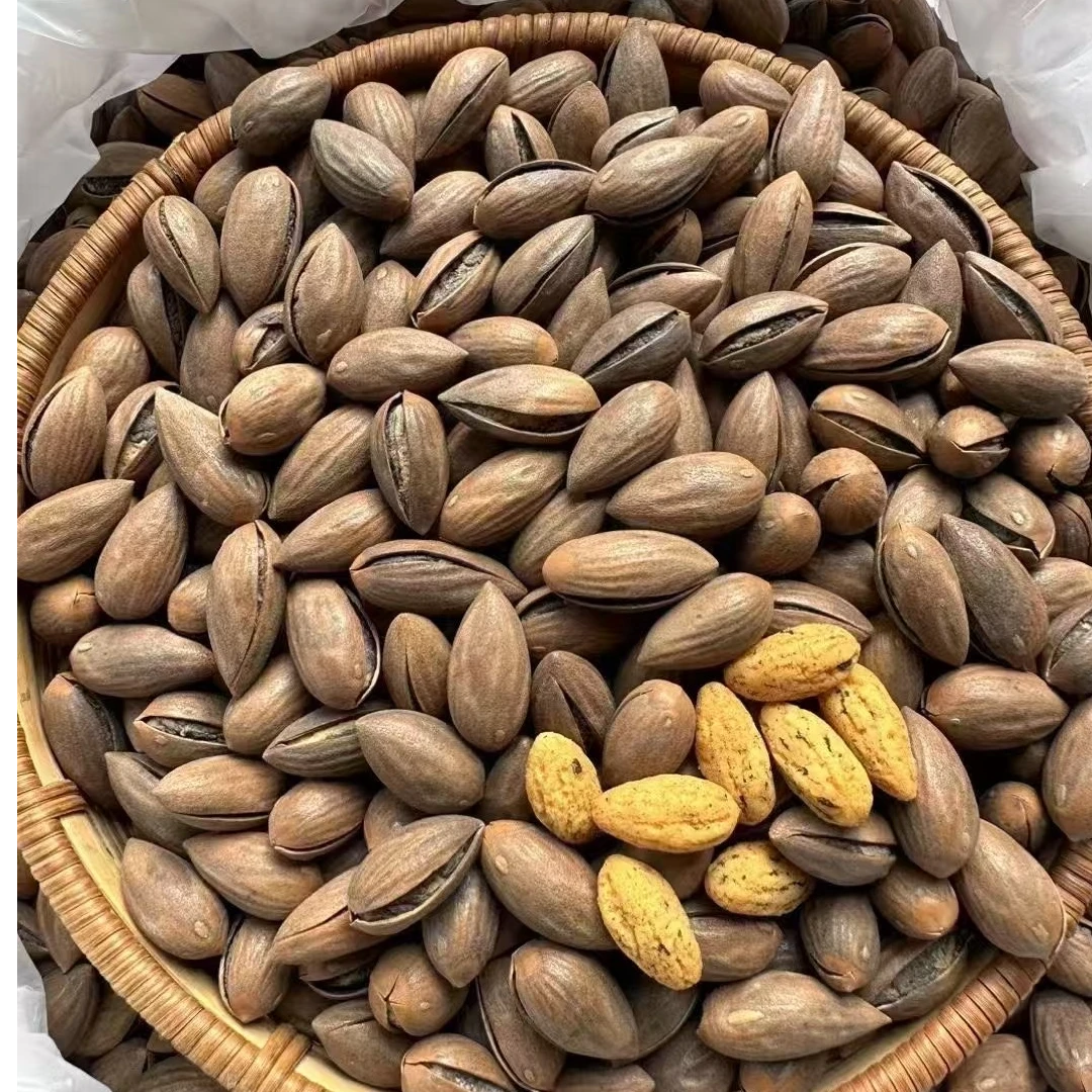 坚果开口香榧过节送礼