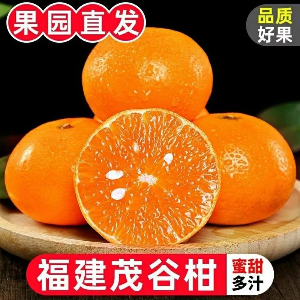 正宗福建果园直发皮薄肉厚酸甜爽口甜蜜茂谷柑3-5斤榨汁优选