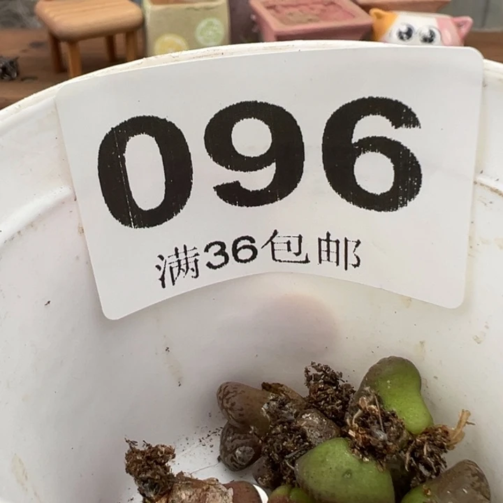 8.18满36元包邮096