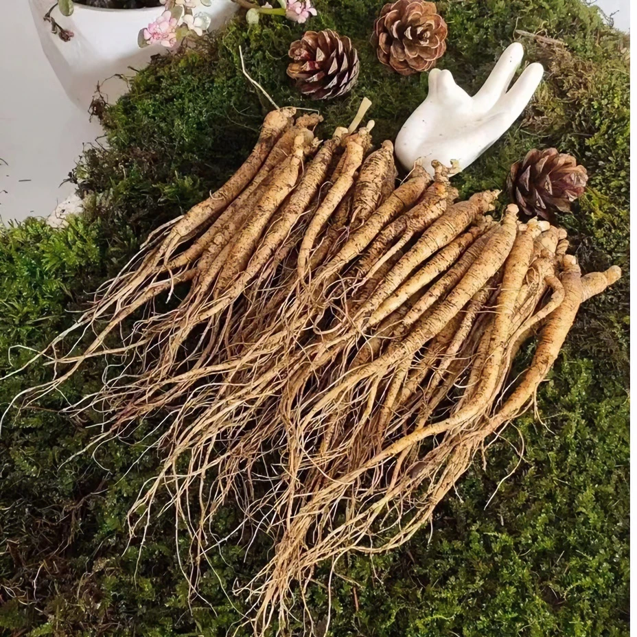 长白山西洋参一元一支泡酒长白山小西洋参/3到4年生，泡水，煲汤。