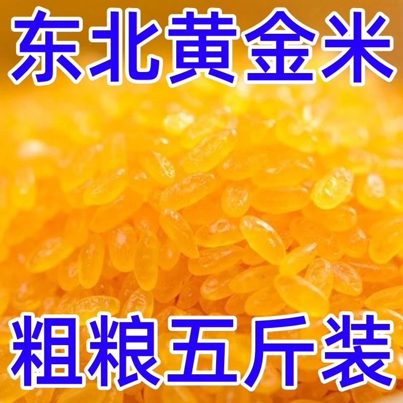 【16.9抢五斤】东北黄金米新米黄金大米五谷杂粮颗粒饱满优选