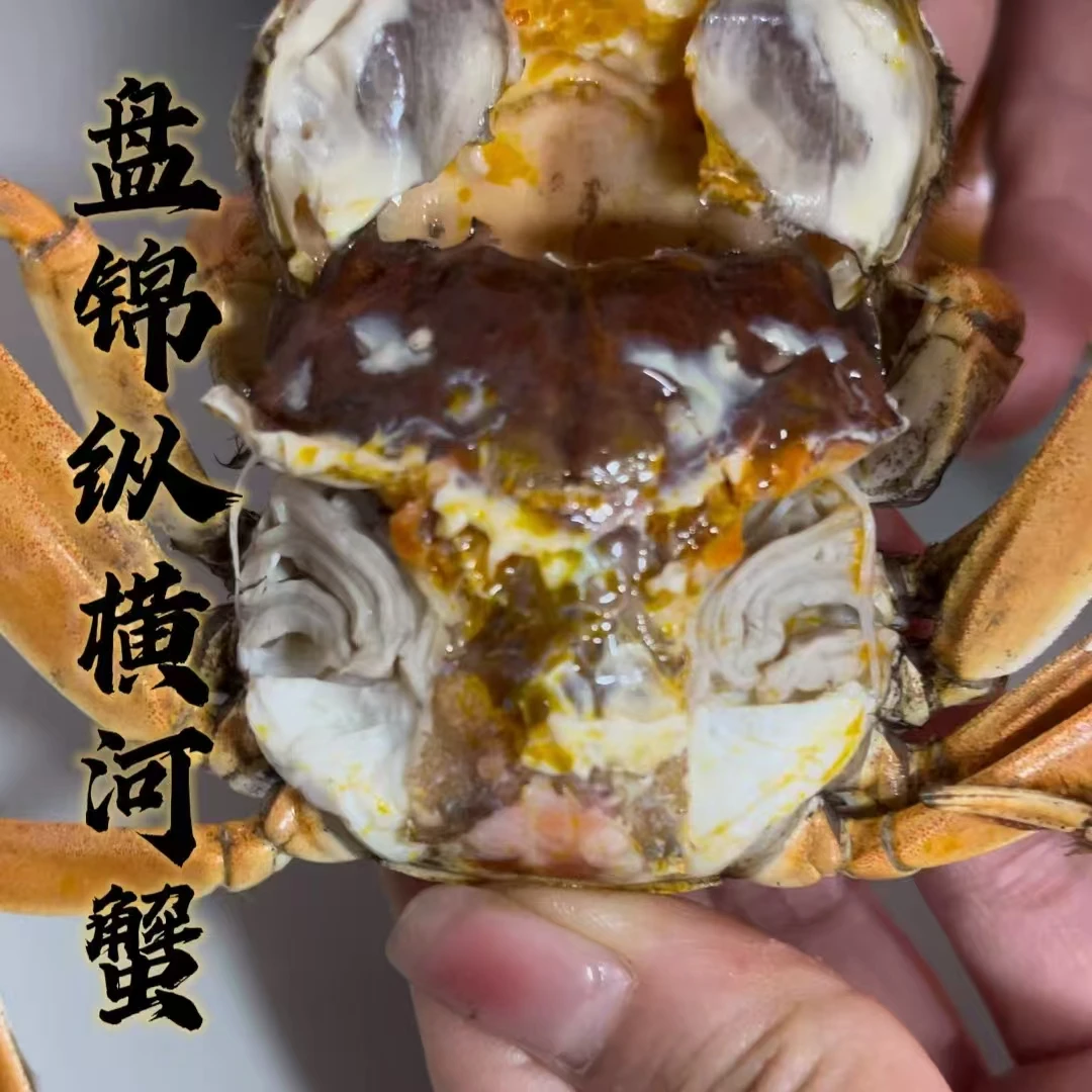 【活蟹】精品洪湖大闸蟹母蟹二两（1.6-2.0）5只