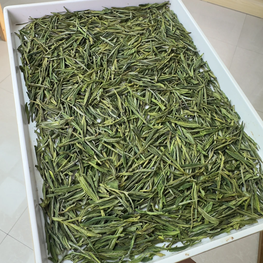 【爆卖款】2024新茶高山白茶A款   奶香兰花香鸡汤鲜