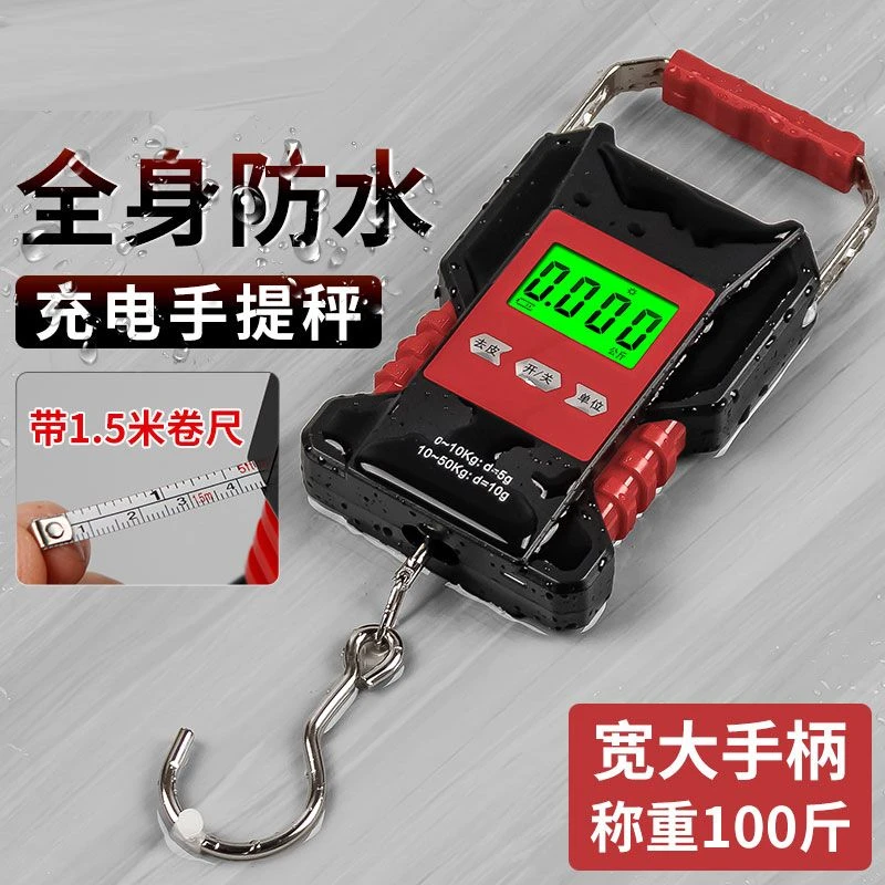 今选防水手提电子秤便携式迷你挂秤钓鱼专用弹簧秤快递行李买菜秤
