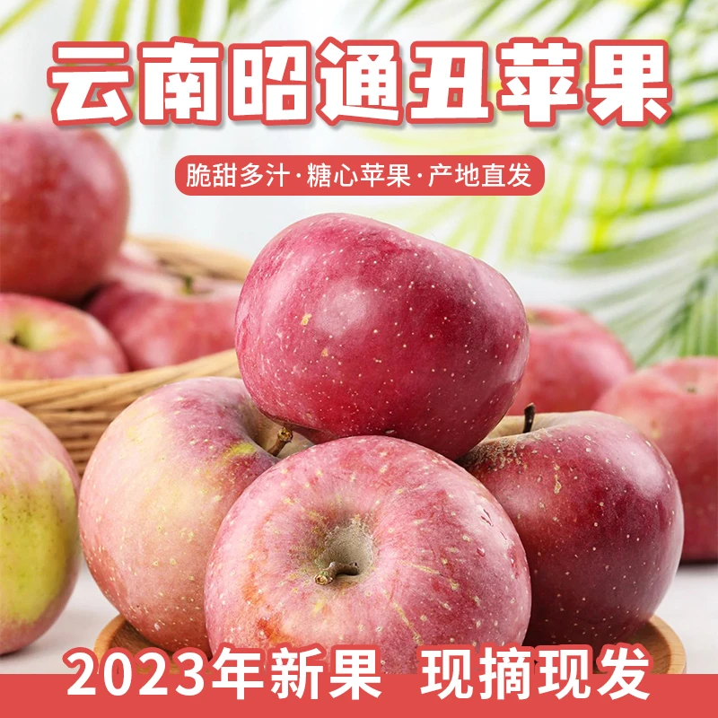 【宠粉尝鲜】(无糖心) 6个装宝宝果60-65mm约2斤昭通苹果脆甜多汁
