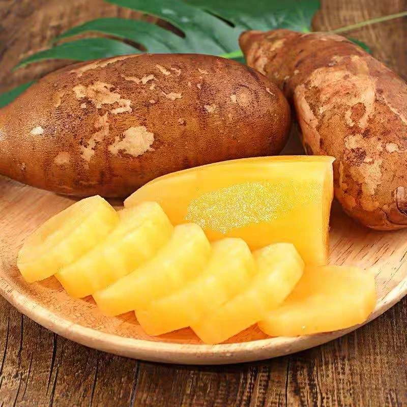 （小老弟）云南天山雪莲果新鲜黄心雪莲果新鲜应季水果1/3/5斤