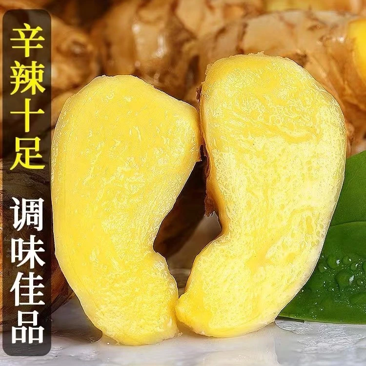 云南小黄姜新鲜现挖1/3/5/9斤装食用调料生姜现挖沙姜老姜土姜包