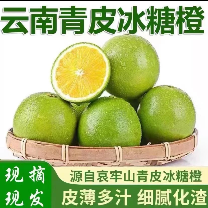 云南高山天山青皮绿皮冰糖橙3/5/9斤现采现发应季水果