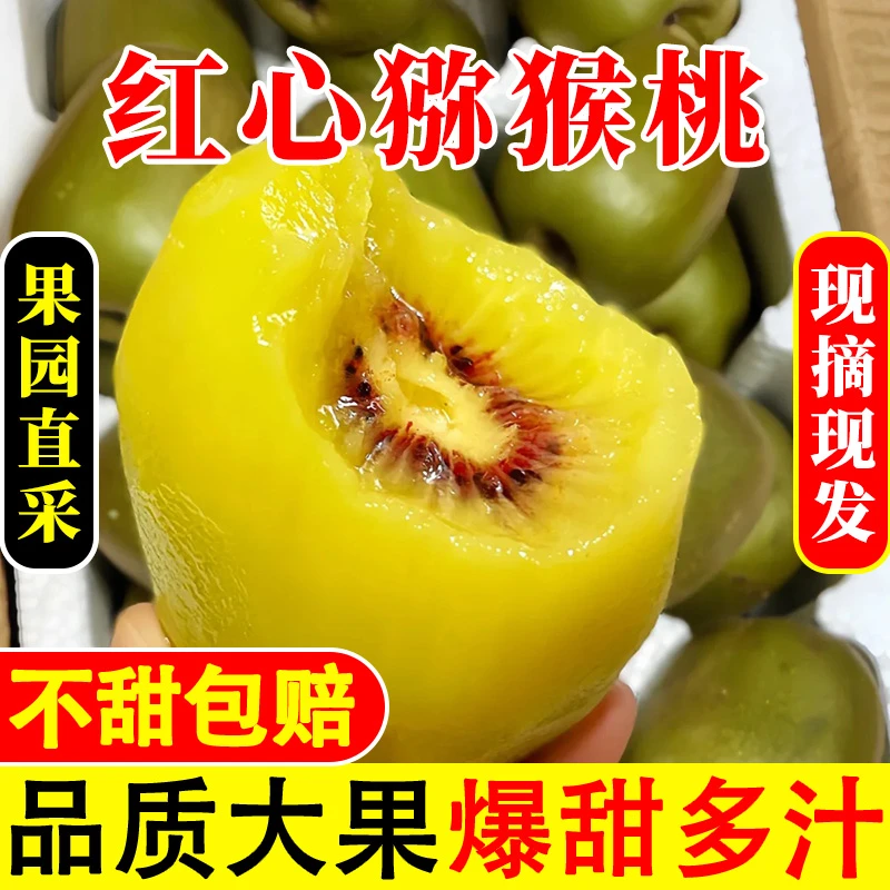 【9.9/15枚】四川红心猕猴桃奇异果补充维C新鲜水果