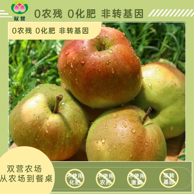 双营北京平谷玉露香梨6斤精品礼盒装