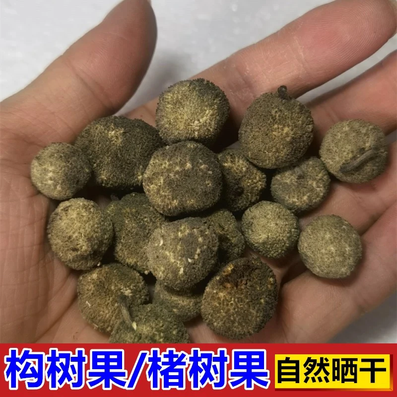 新鲜构树果 楮实子果中药材构桃树纯天然青果干果自然晾晒包邮