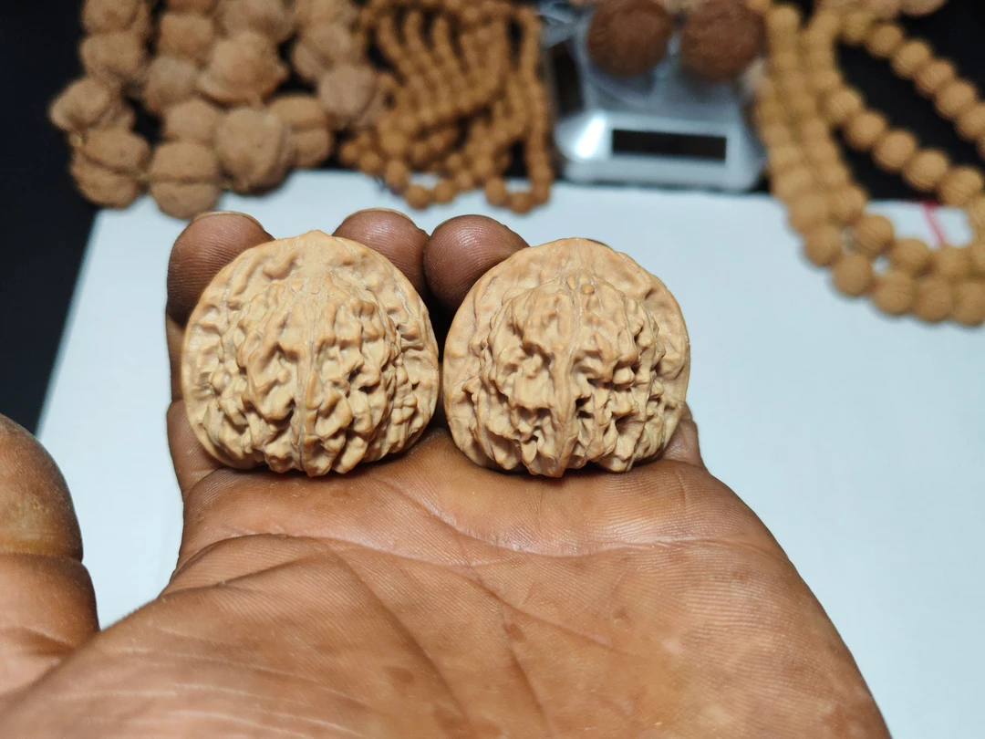 天地狮子头(二爷帽),边41肚37,高38全品