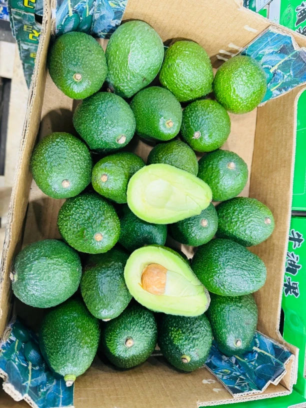 牛油果8个装一份