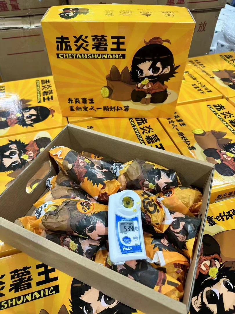 【全新上架】赤炎薯王5斤数