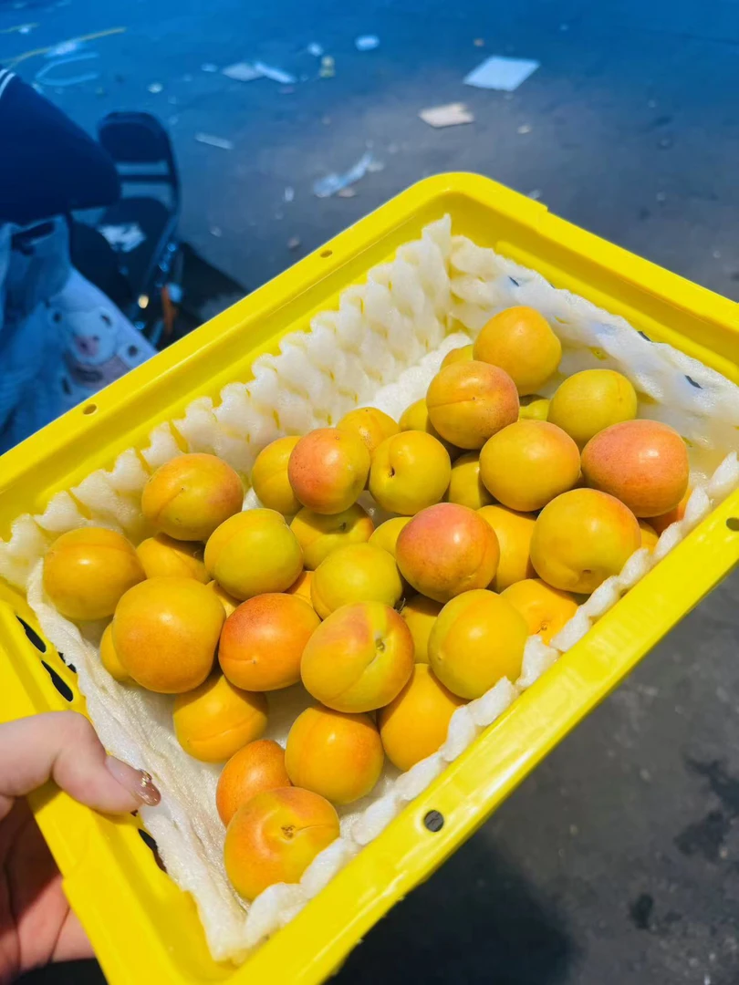 新疆空运树上吊干杏净3斤（大果）