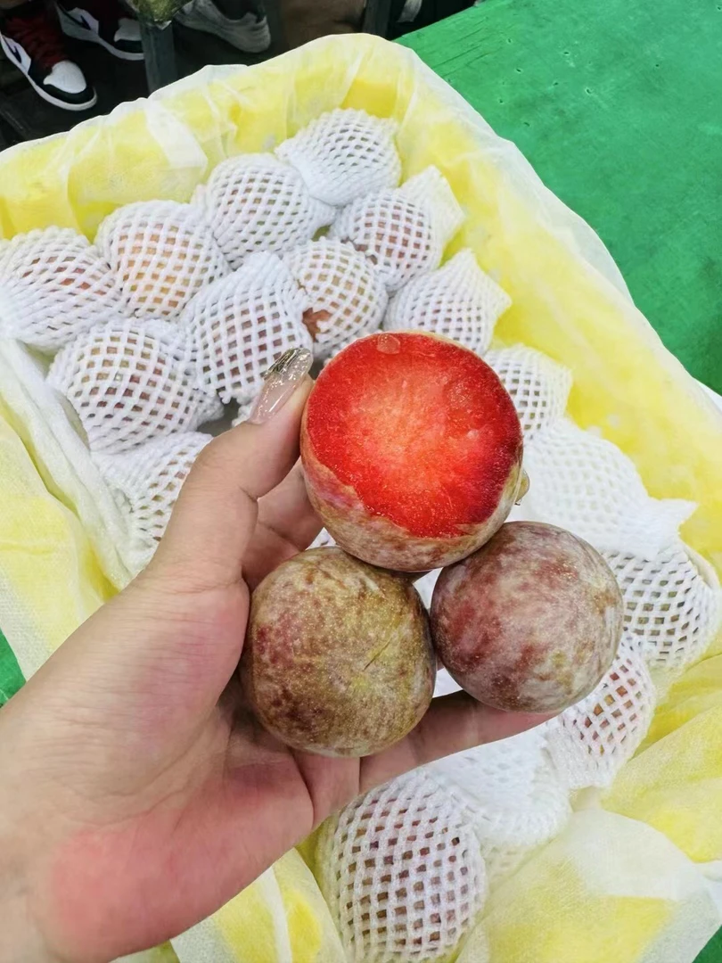蒂味新疆恐龙蛋李子净3斤