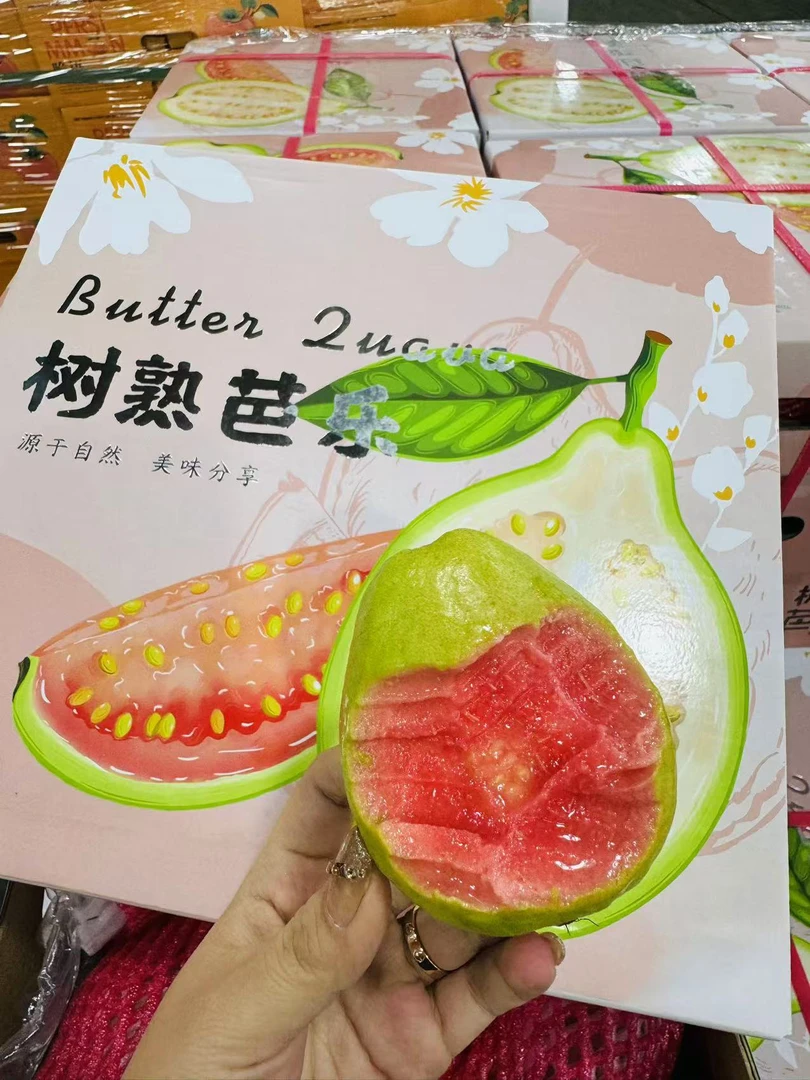 红心草莓芭乐一箱4斤（毛重）