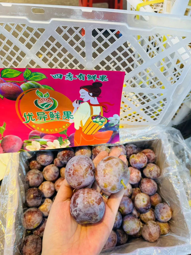 四川青红脆李2.5斤