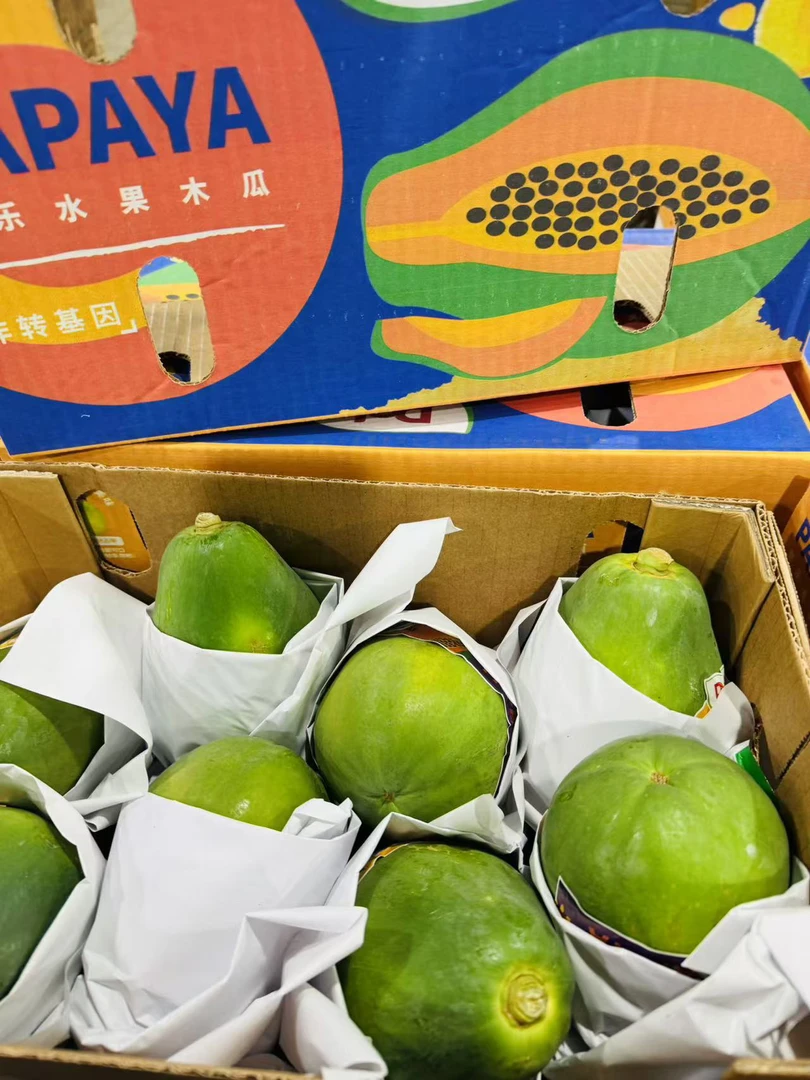 都楽木瓜4个4.9斤