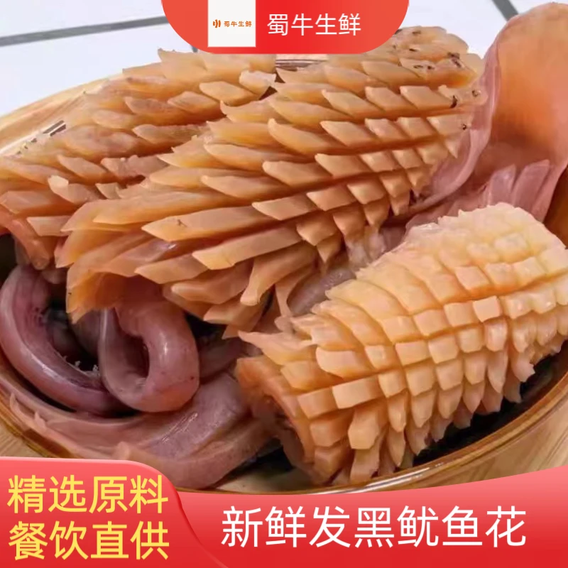 火锅食材新鲜大鱿鱼花批发冷冻发鱿鱼卷生冻鲜墨鱼目鱼筒海鲜商用