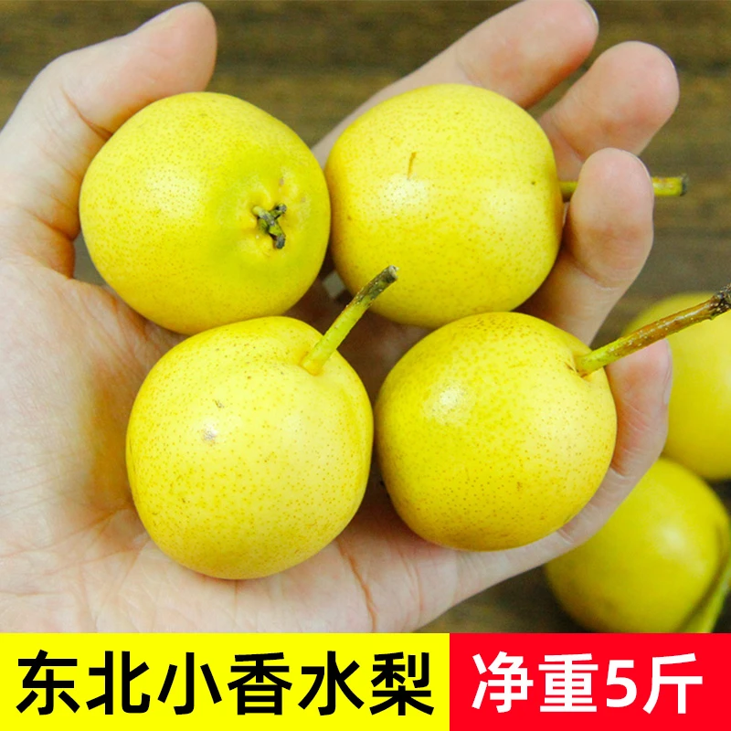 东北老品种香水梨京东包邮特产小梨新鲜采摘酸甜多汁口感水果