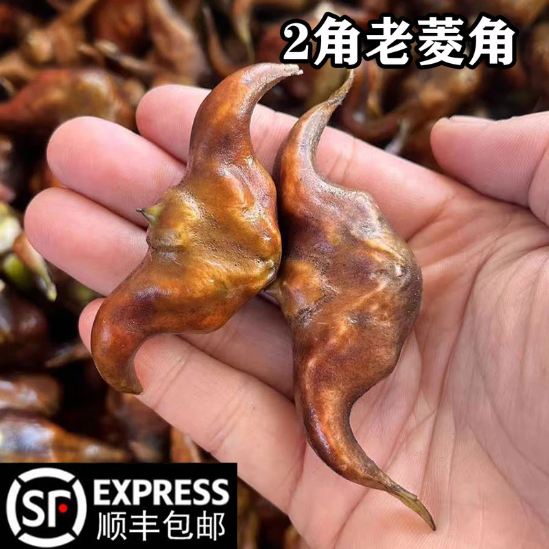 顺丰包邮安徽无为特产新鲜老菱角两角菱角煮熟粉糯现摘现发1斤起