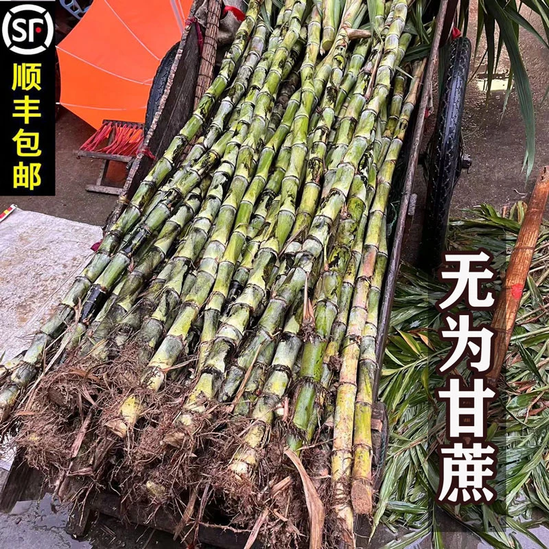 安徽无为特产甘蔗青皮新鲜水果农家甜甘蔗汁水多现挖1份5斤起包邮