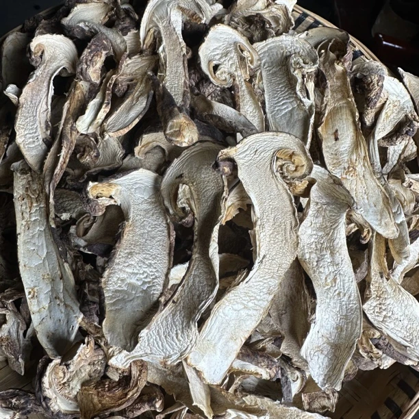 西藏松茸干片干货