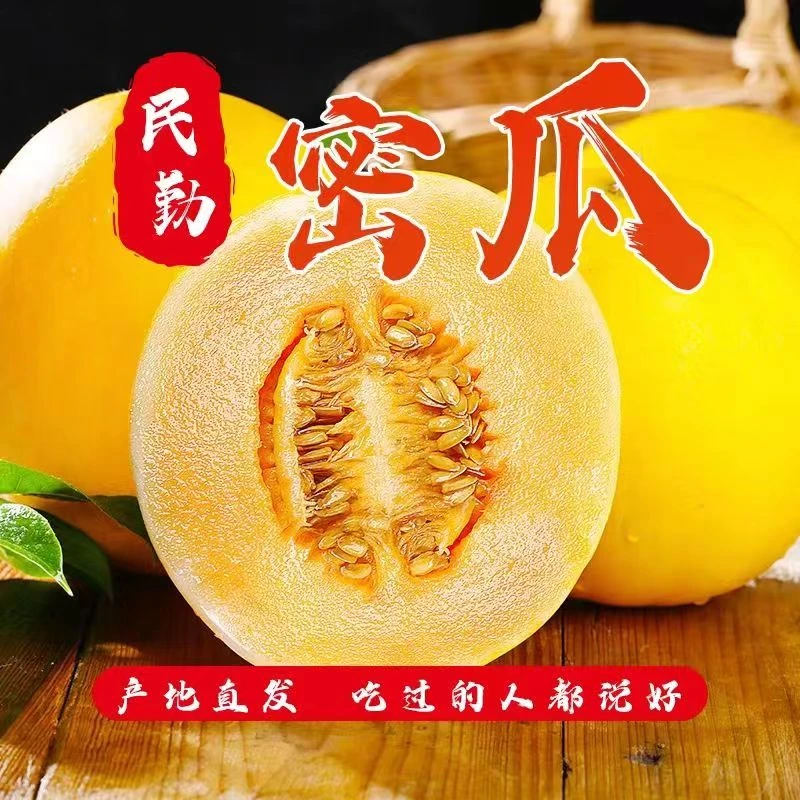 甘肃民勤沙漠蜜瓜当季新鲜绵密5斤/9斤包邮金红宝蜜瓜甜瓜自然