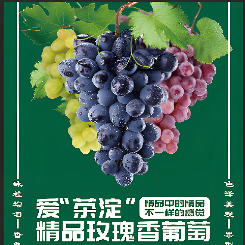 天津茶淀玫瑰香葡萄产地优质颗粒精品有机原产种植京津冀包邮